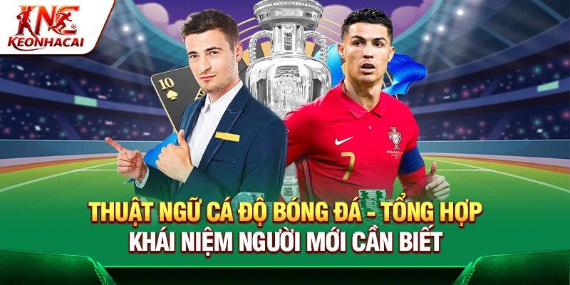 https://rigowallet.io/thuat-ngu-ca-do-bong-da/